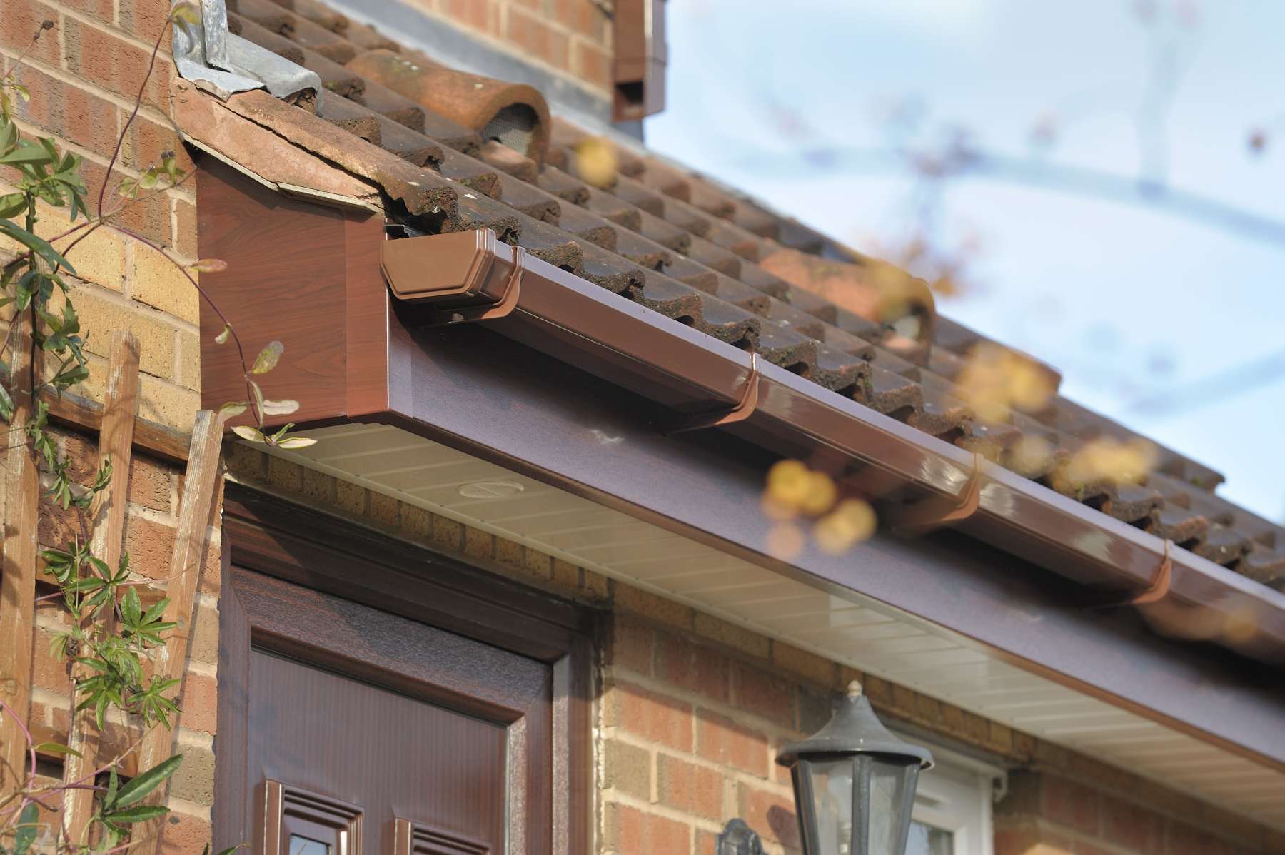 Local Orangeries Builder Near Me Northern Ireland